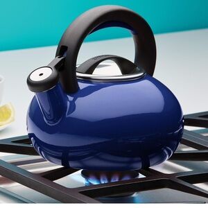 Blue Circulon Tea Kettle